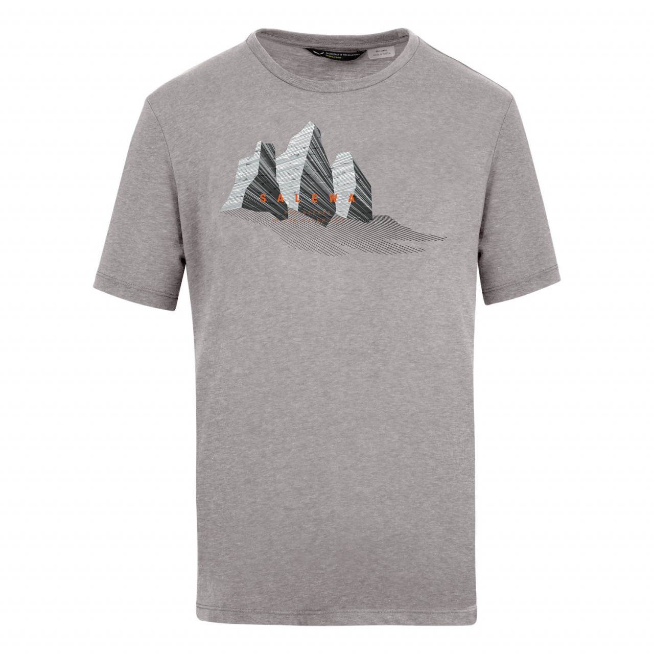 T-Shirts Salewa Lines Graphic Dry Homem Cinzentas 425IFRPUO